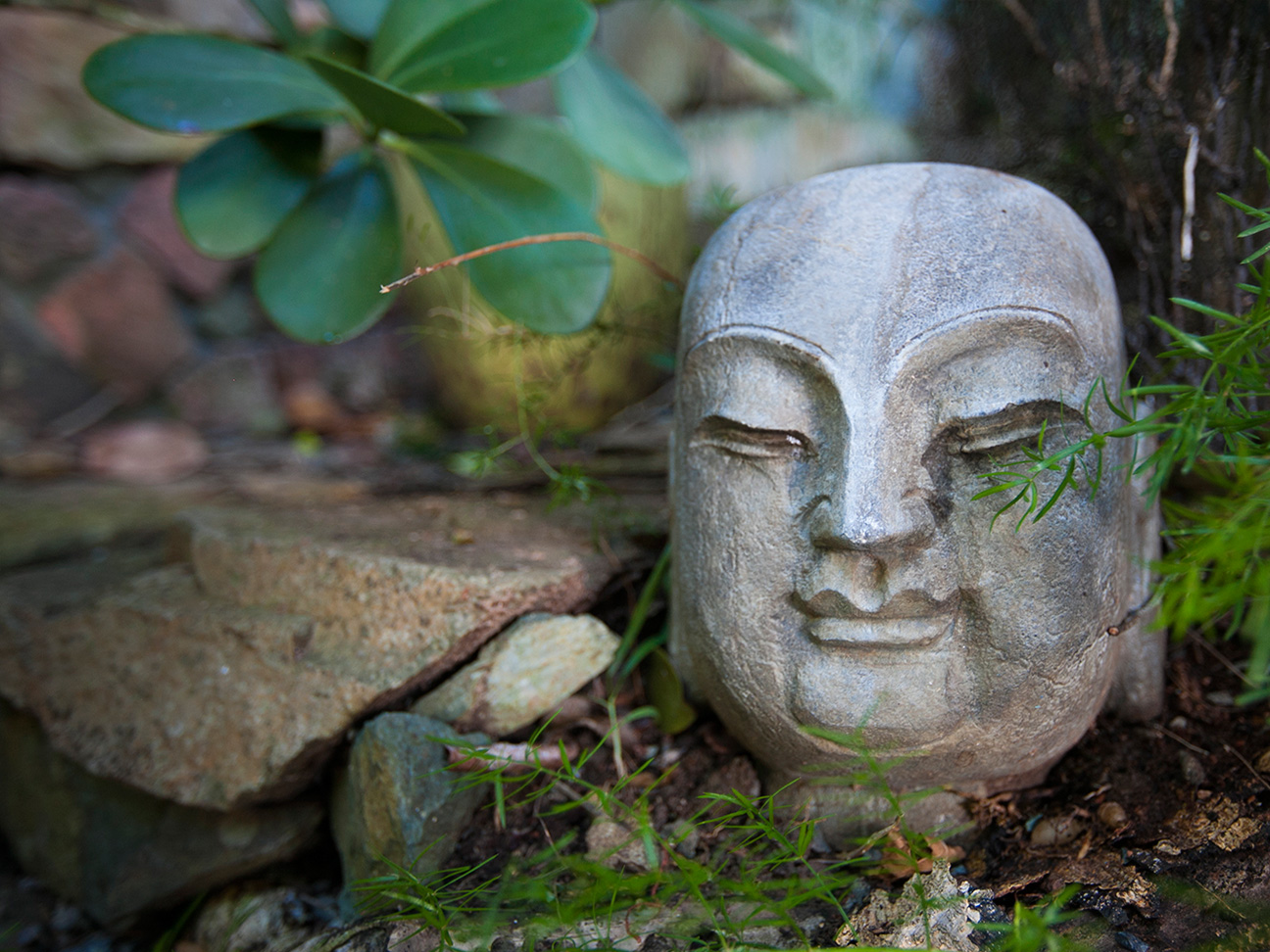 Zen Caribbean Garden Ambiance