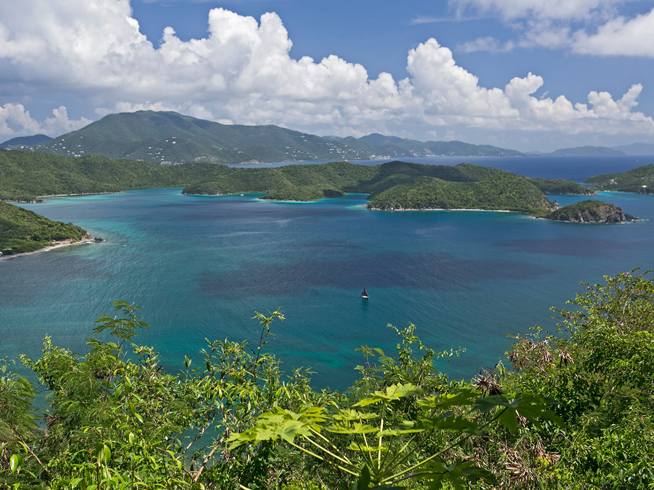 Pristine View Of Virgin Islands Coral Reef National Coral Reef Monument 