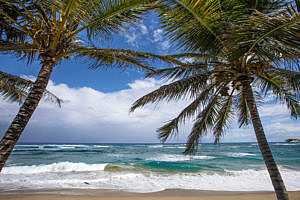 Yoga Retreat Beach Dominican Republic