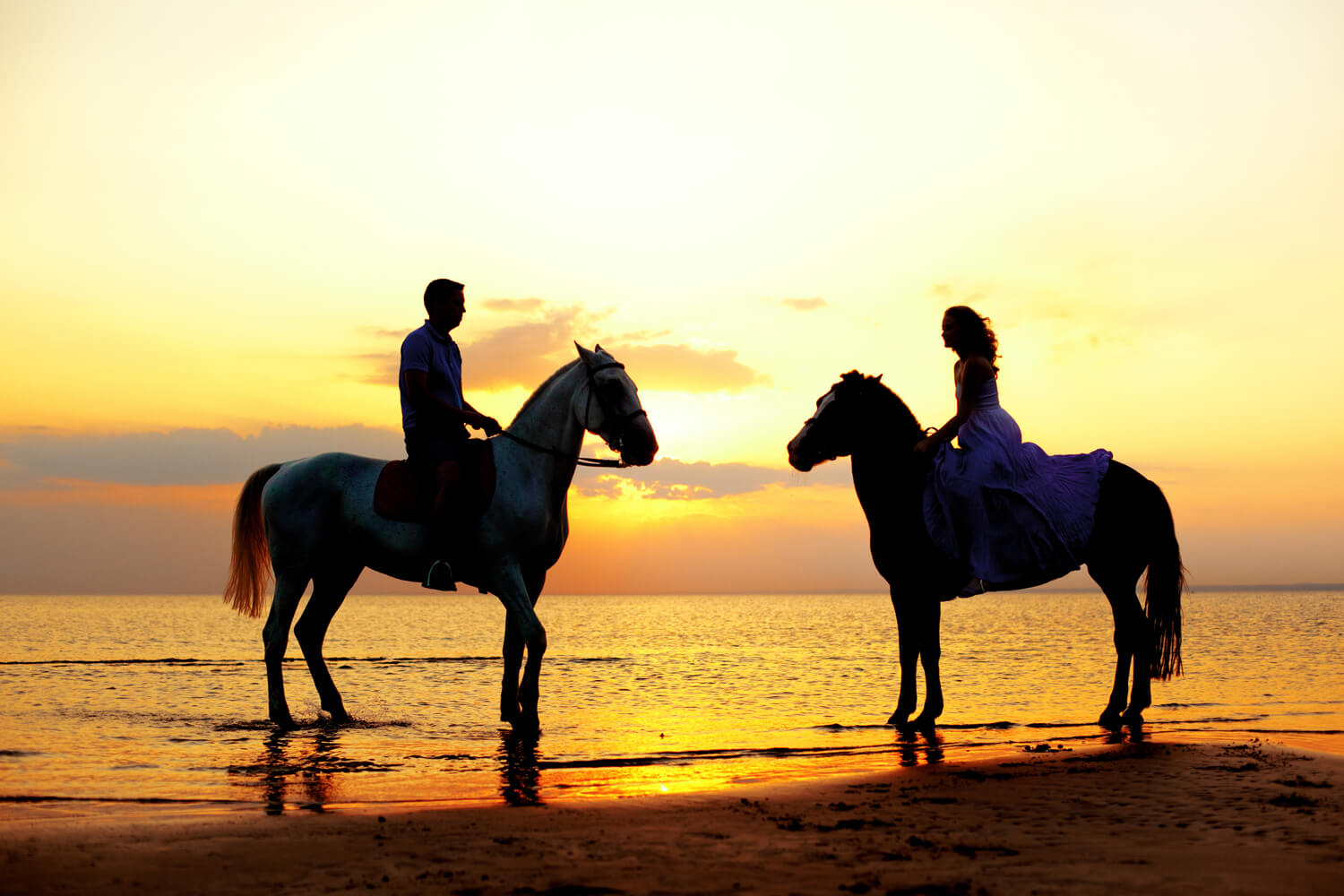 Ridiing Horses on the Beach at Sunset